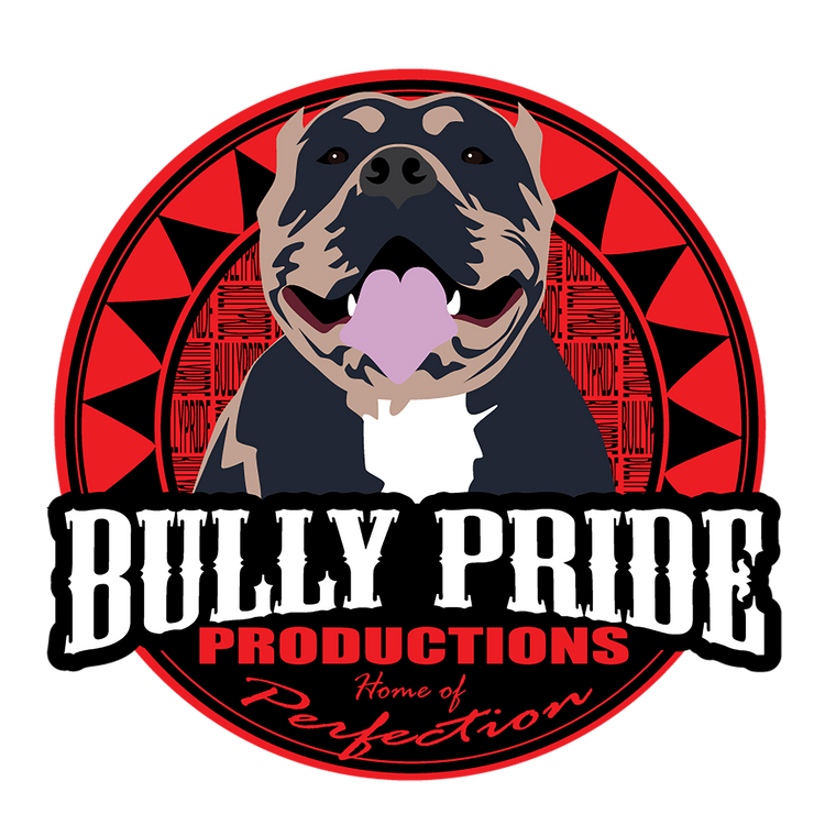 Bully Pride Productions